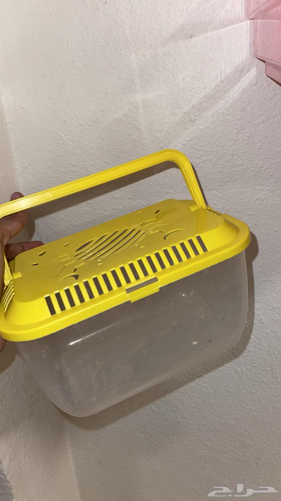 قفص طيور للبيع64573545502467112