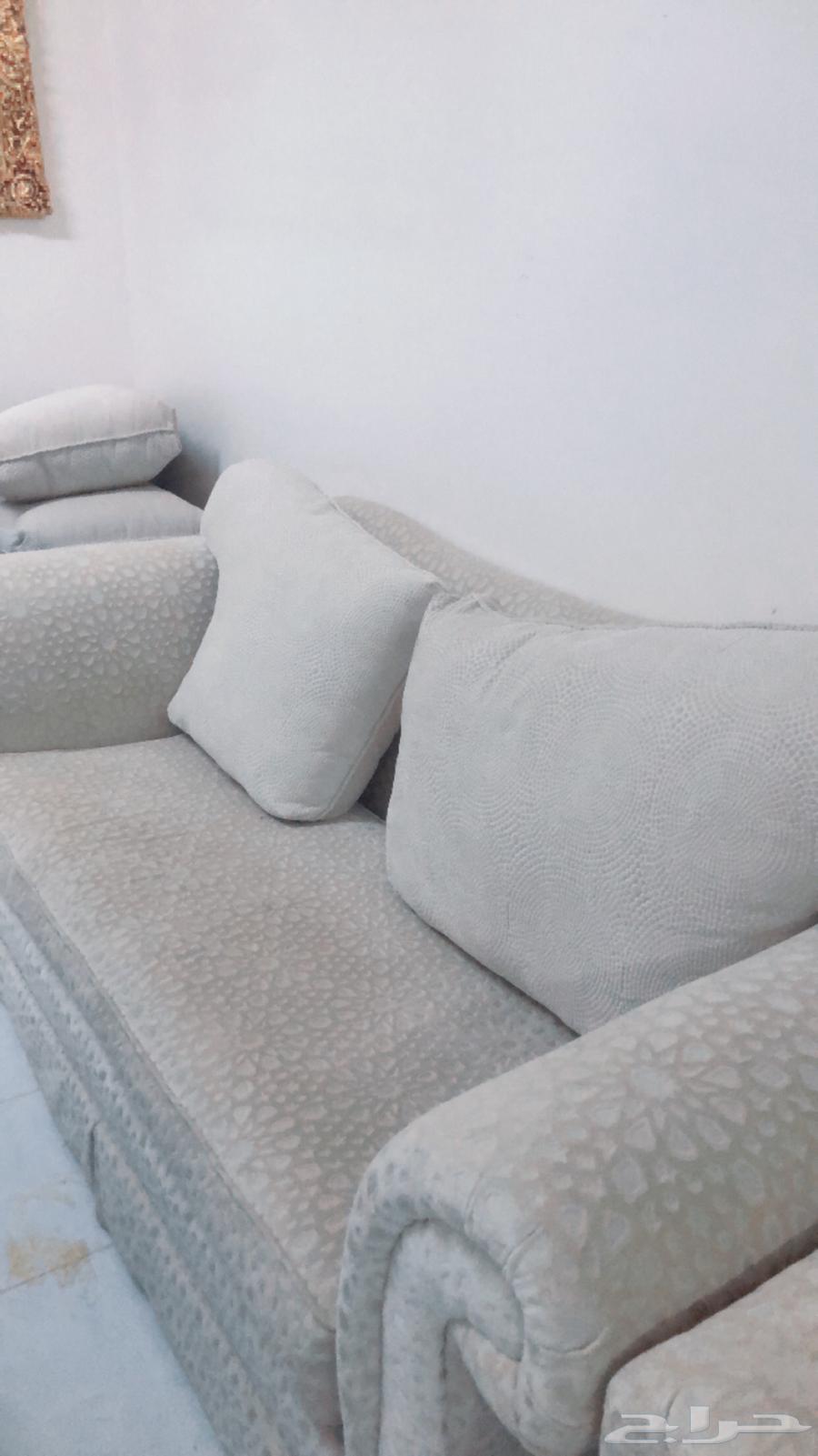 Clean, comfortable, and undamaged sofa64573390181891113