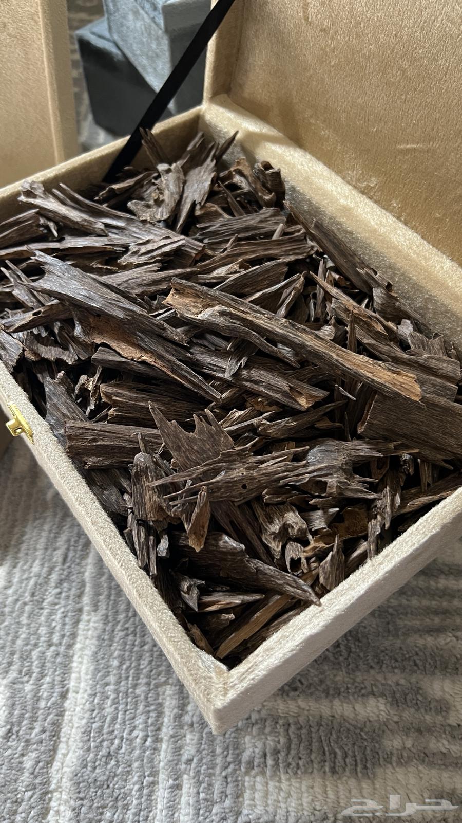 عود هندي زورا غابات قديم64575000196225111