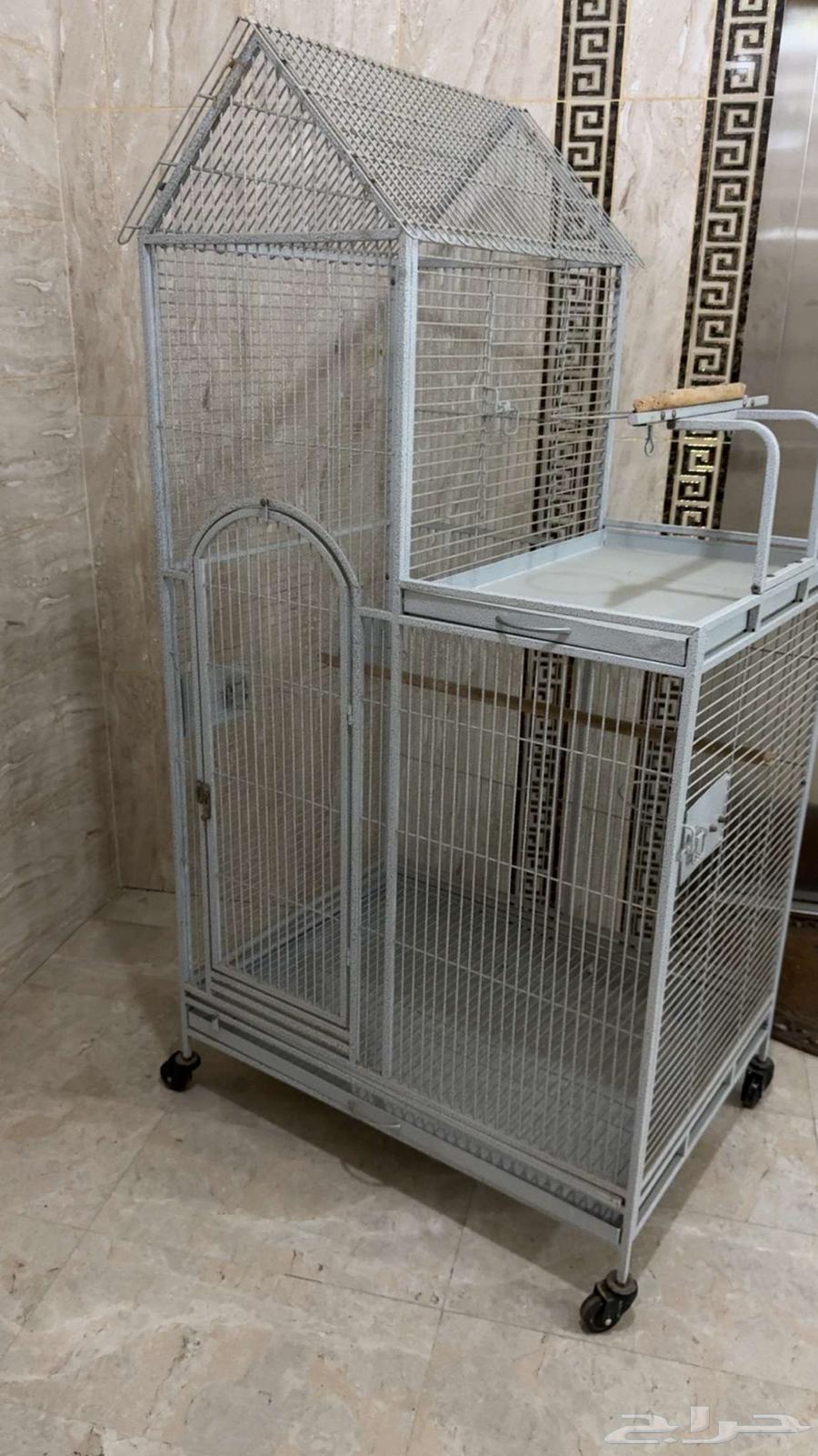 قفص للبيع64572852692353110