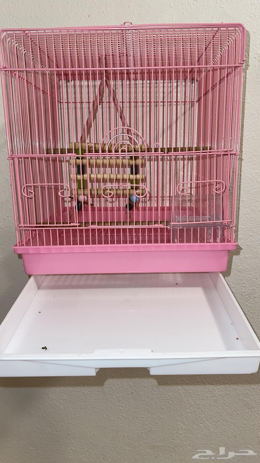 قفص طيور للبيع64573545502467111