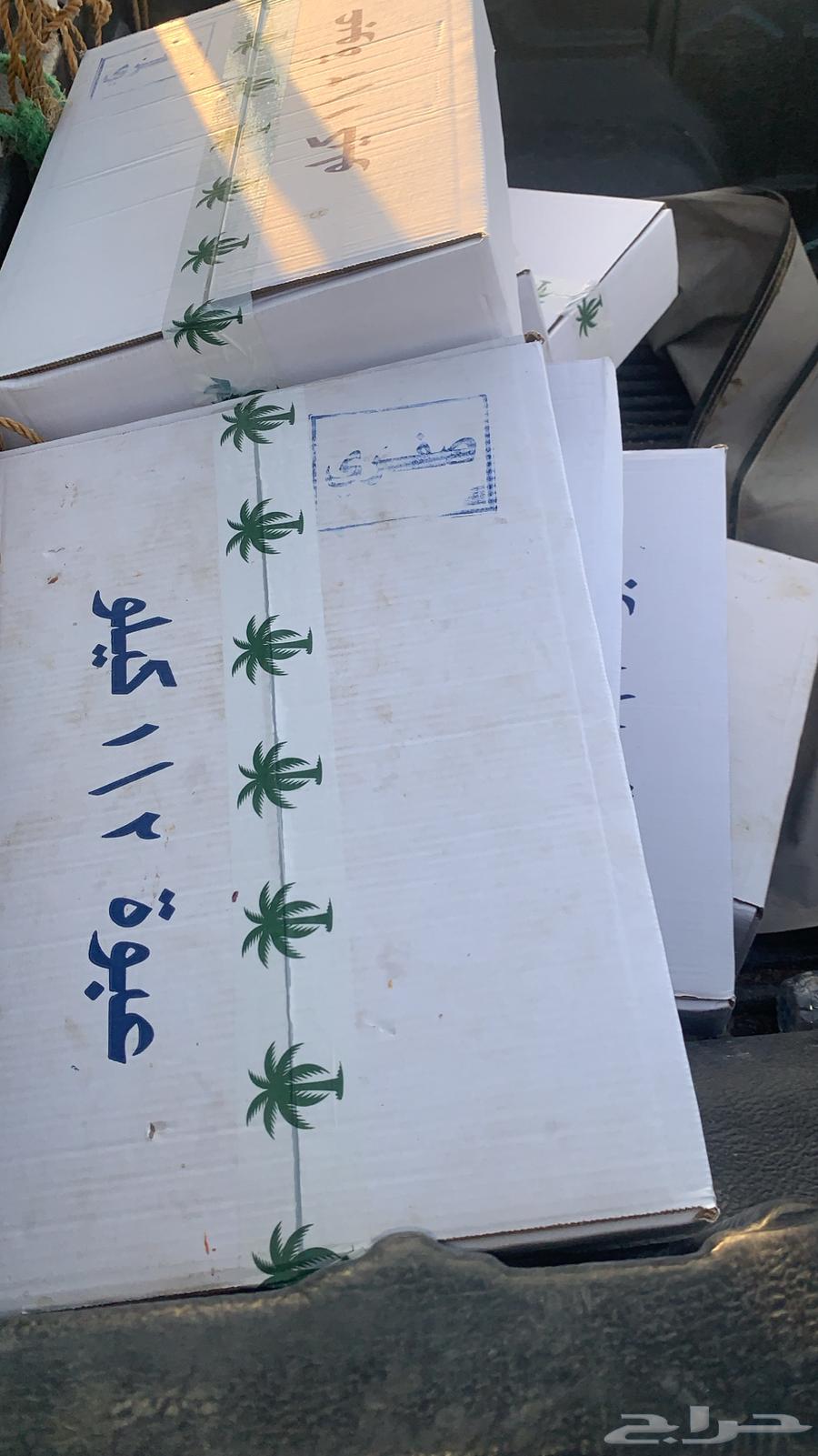 500 Halal Date Bags, Packaging in Sacks, Tins, and Cartons64462800828546112