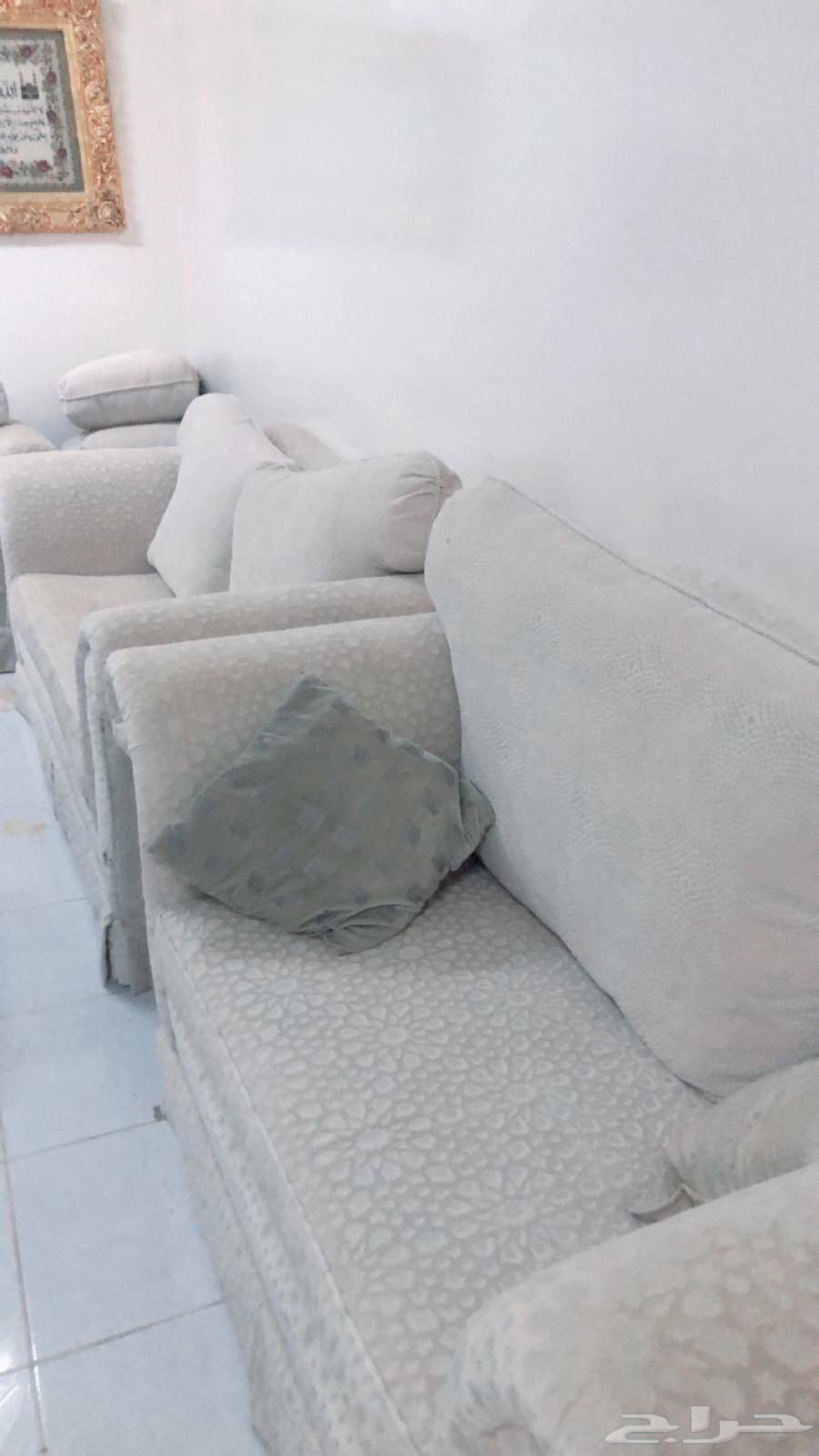 Clean, comfortable, and undamaged sofa64573390181891112