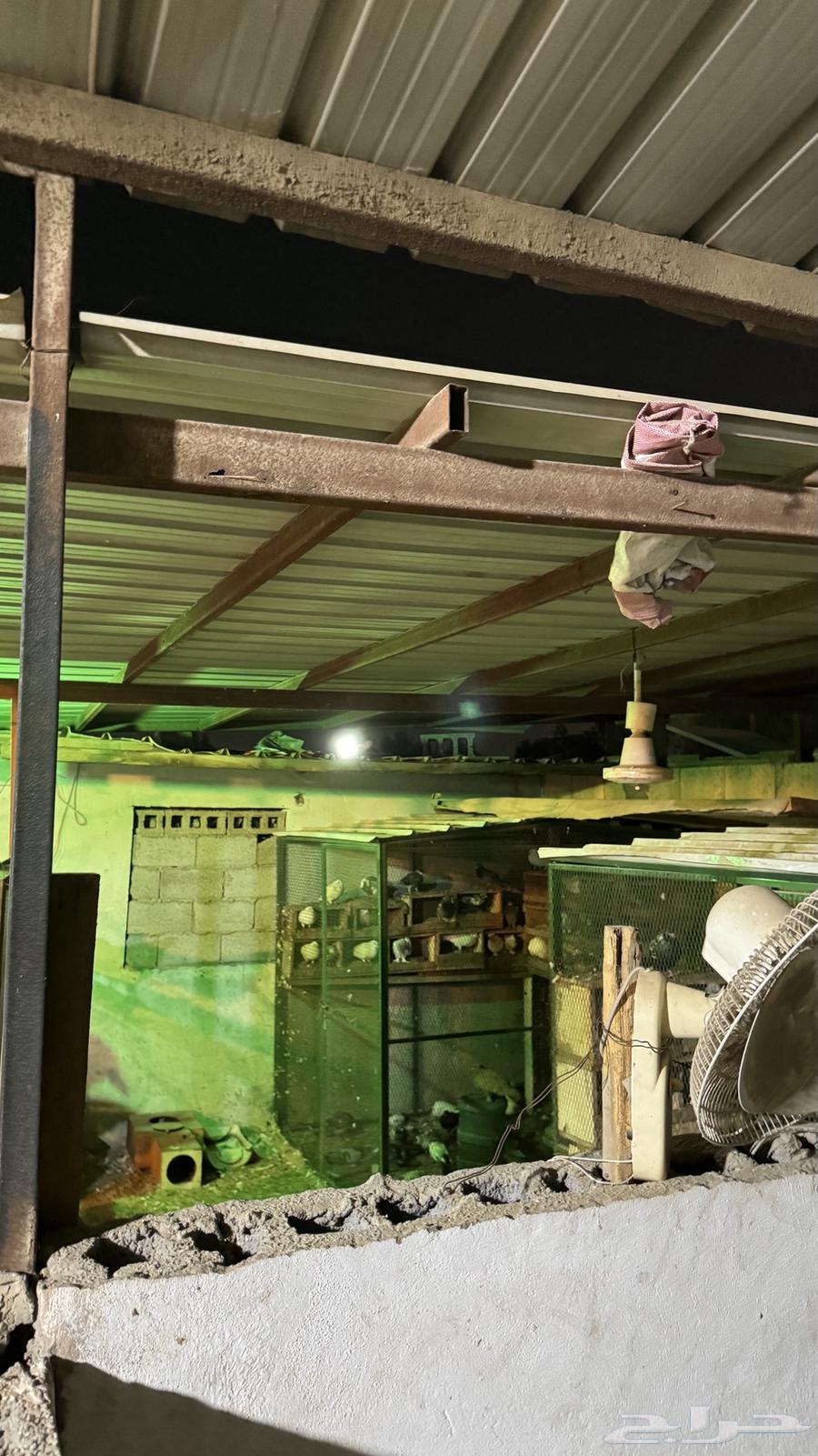 اسطبل للبيع64579156836610111