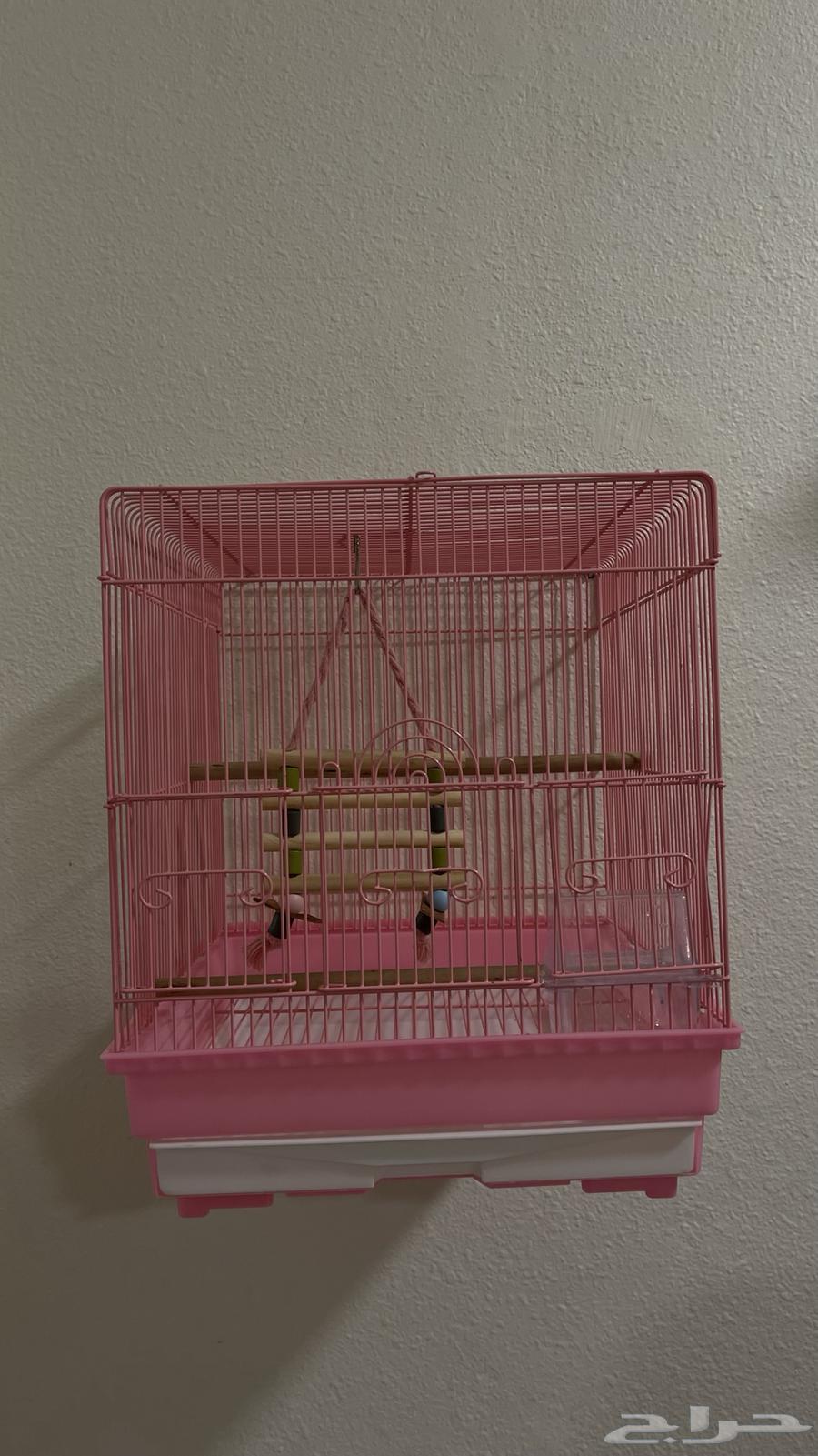 قفص طيور للبيع64573545502467110