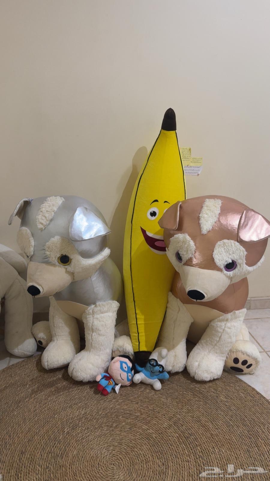 دبدوب64572299662850110