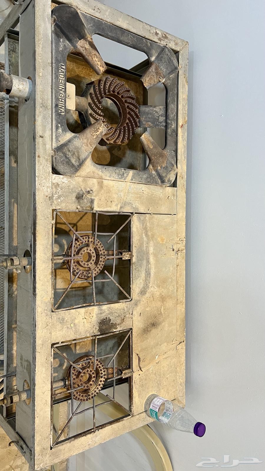 قز 3 عيون64578409579778111