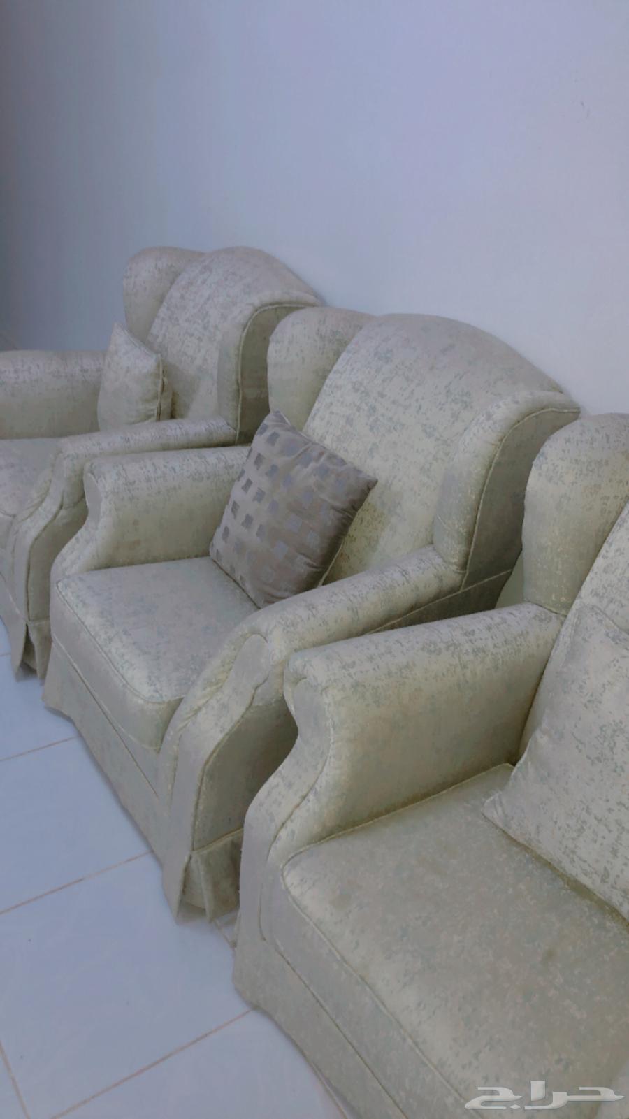 Clean, comfortable, and undamaged sofa64573390181891111