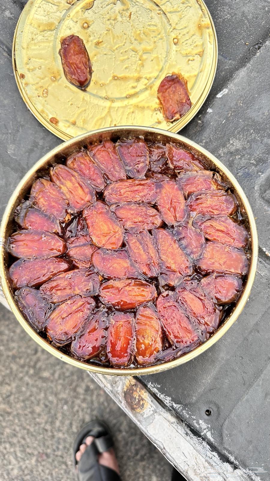 Safri Dates from Bisha Al-Wadi Turj64575028322561111