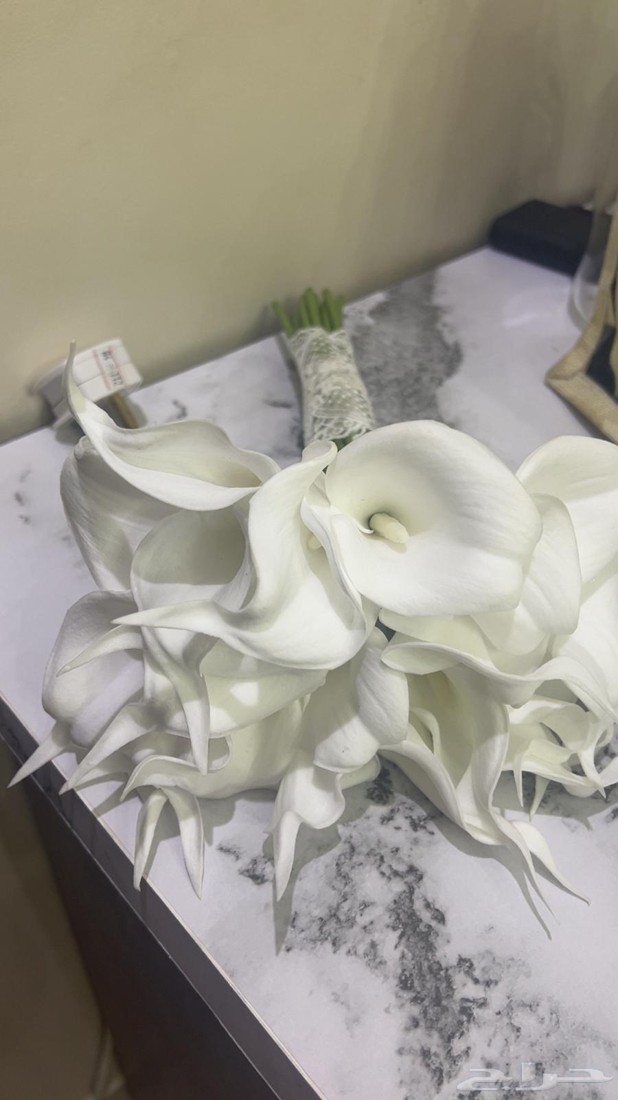 مسكة عروس للبيع64577810604545110