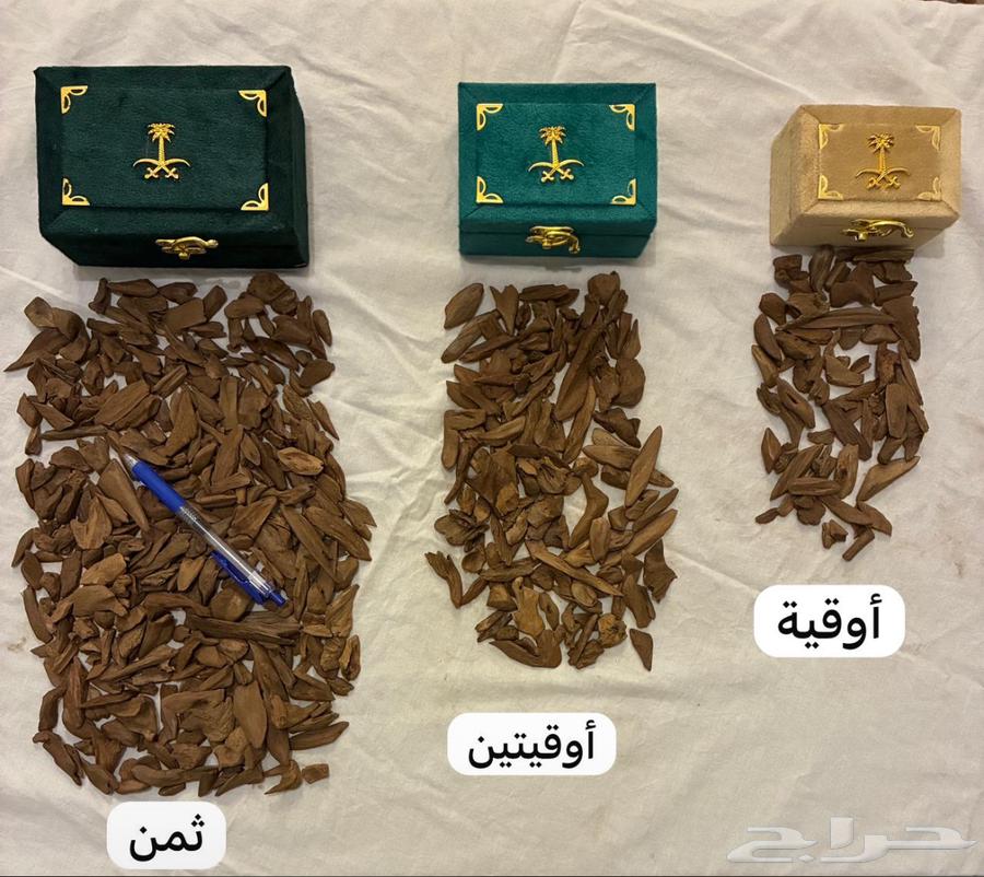 عود موروكي آصقون فاخر ( طبيعي ) سعر منافس64578703548035114