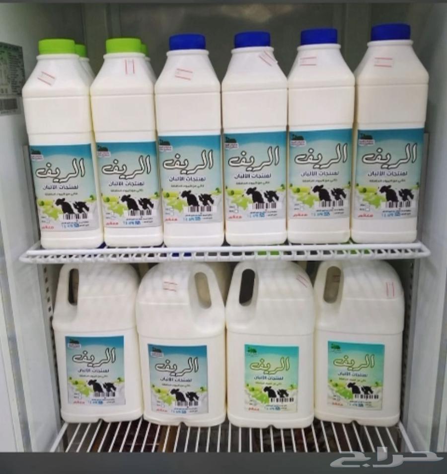 لبان الريف طازجه شغل بيت نظيف64575224045698112