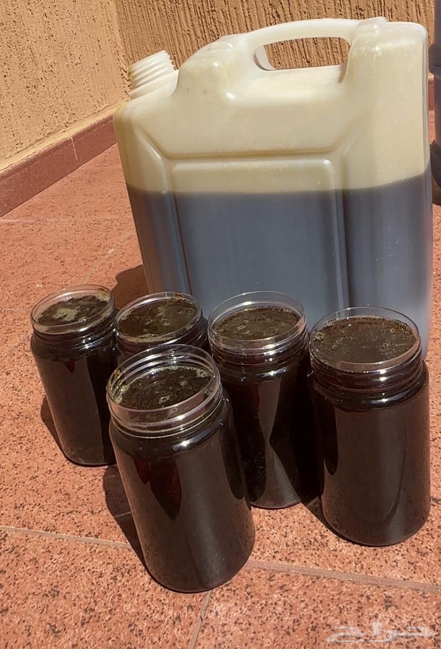 دبس برحي معصور وقوام وأشقر وشرط الضمان64578689586051110