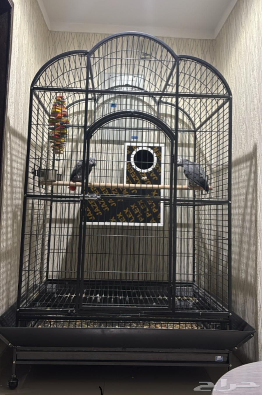 قفص طيور كبيره64571616428673113