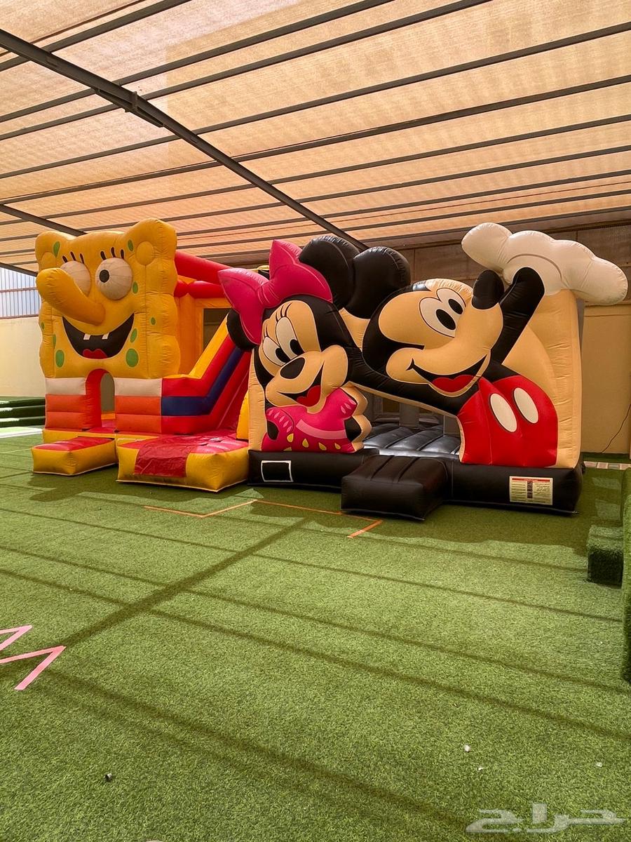 تأجير توم وجيري64574621337346110