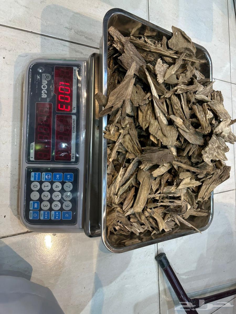 عود مروكي حي (ارياني)64577332318209110