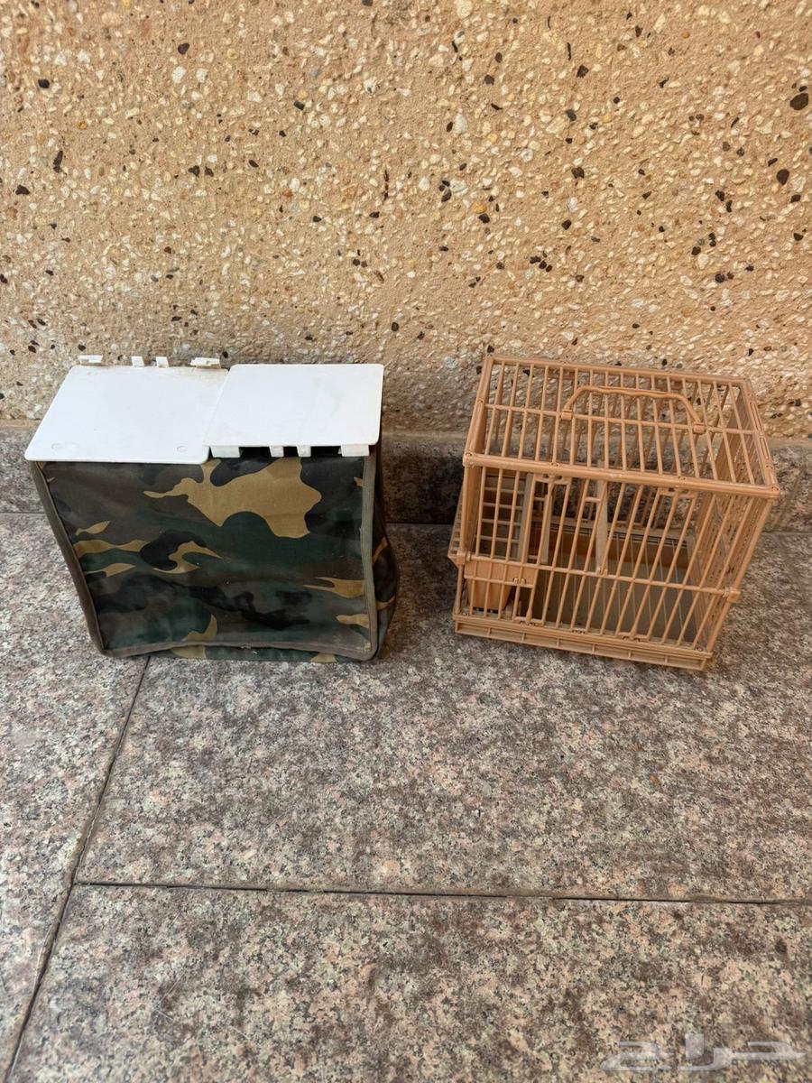 اقفاص تهدئة الحسون64579005667587111