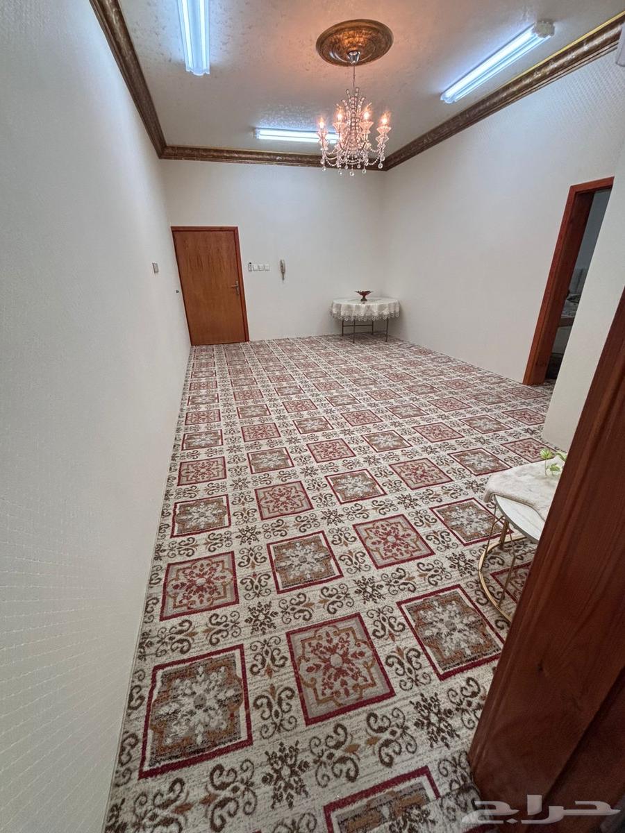 فرش موكيت نظيف جدا64578284996867110