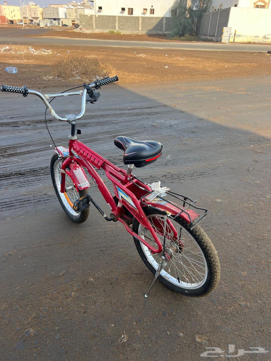 سيكل رامبو للبيع64573991955971111