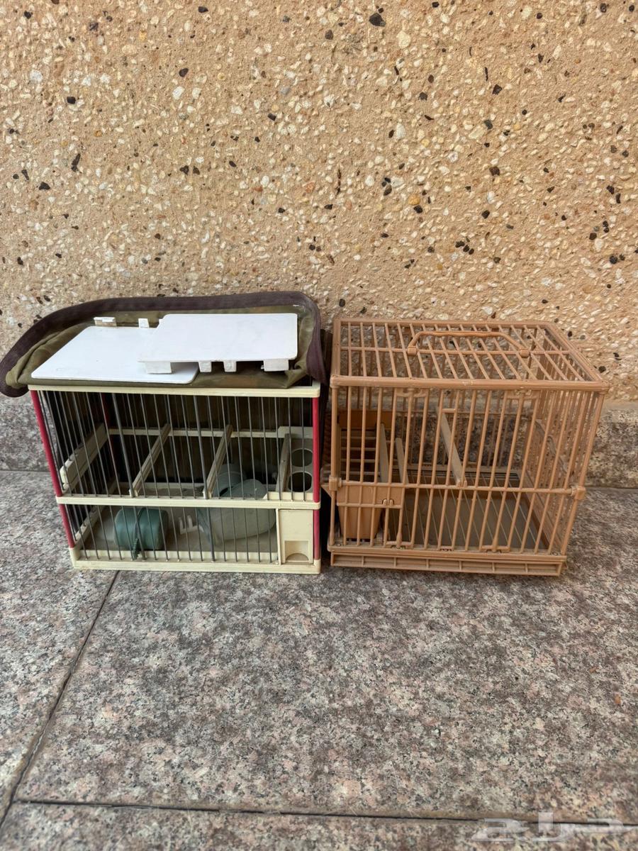 اقفاص تهدئة الحسون64579005667587113