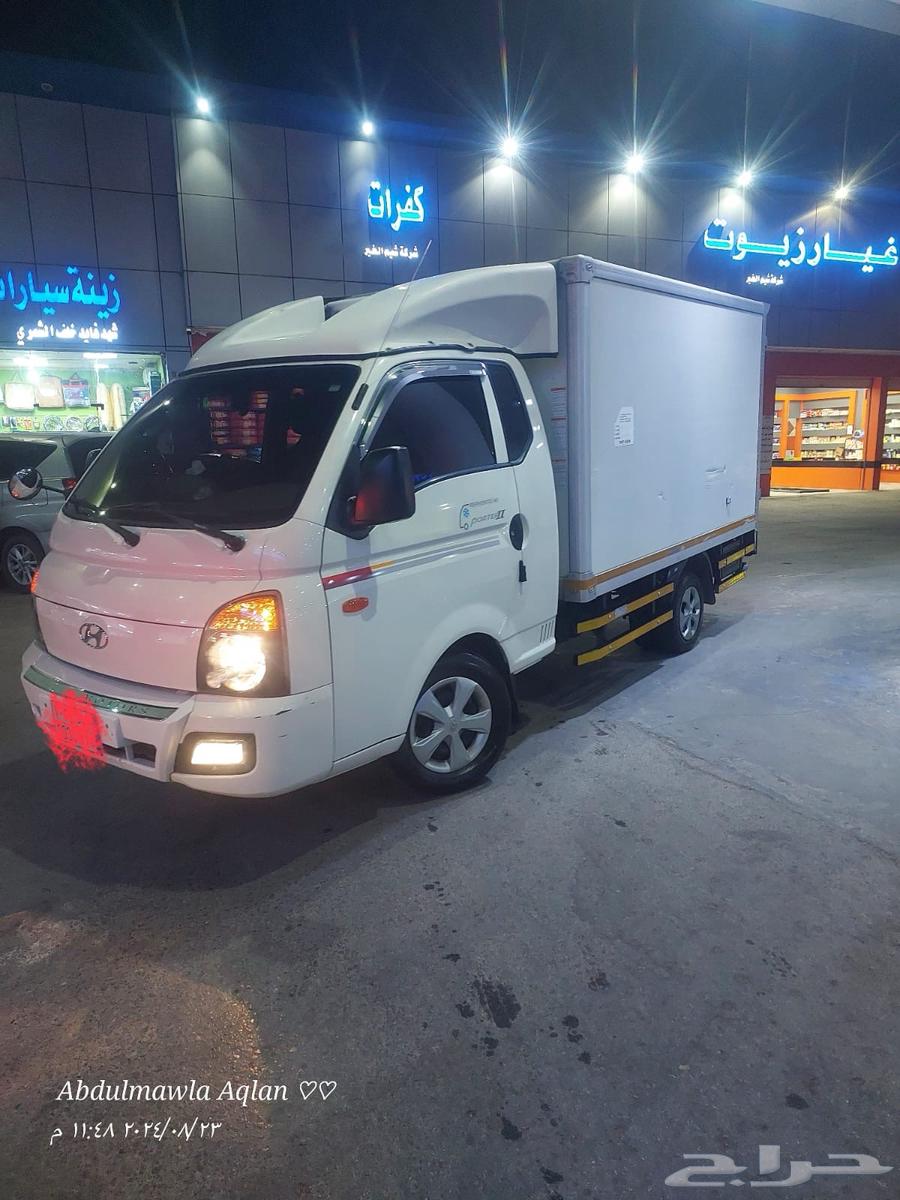 دينا ثلاجه64579280229251113