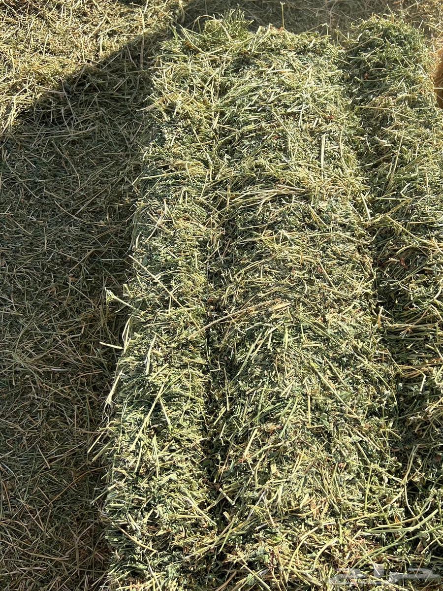 Soft clover64574790326531111