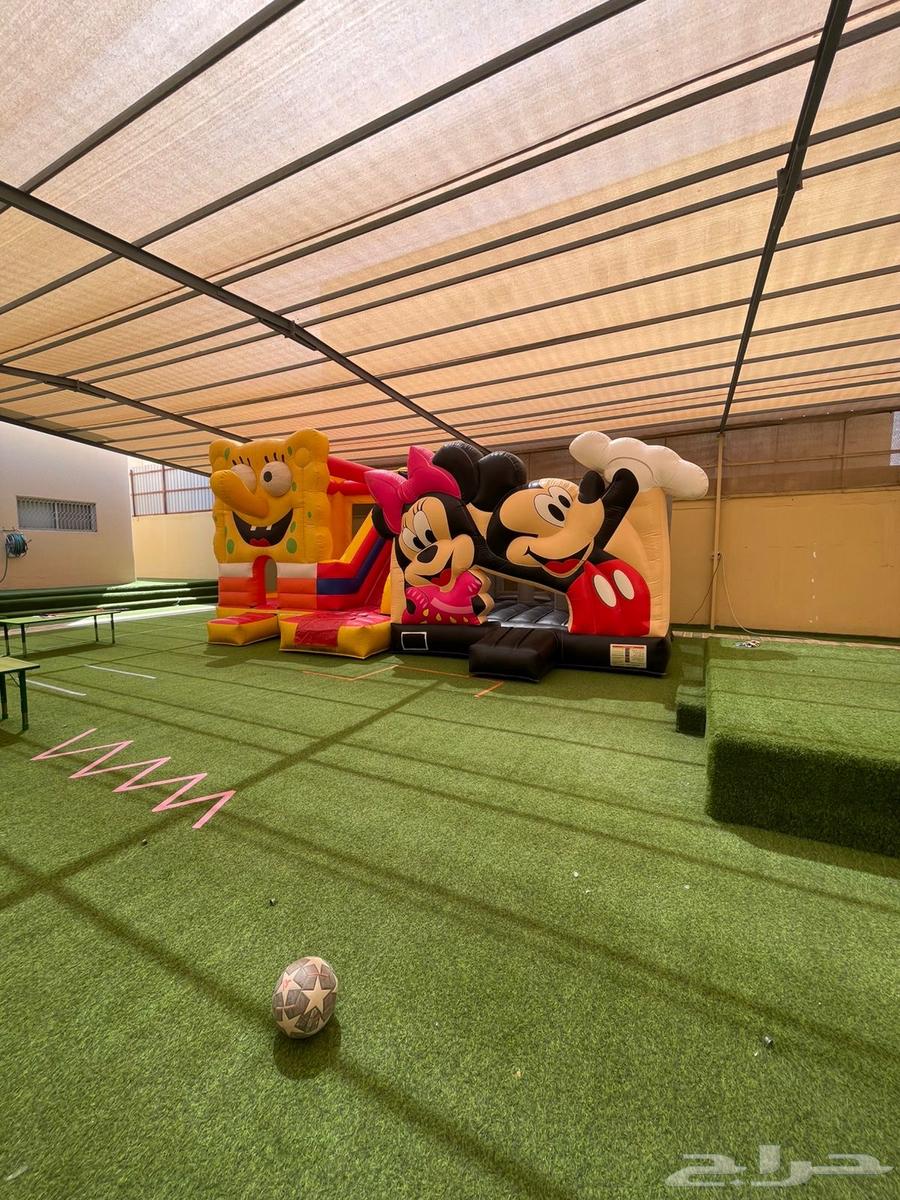 تأجير توم وجيري64574621337346111