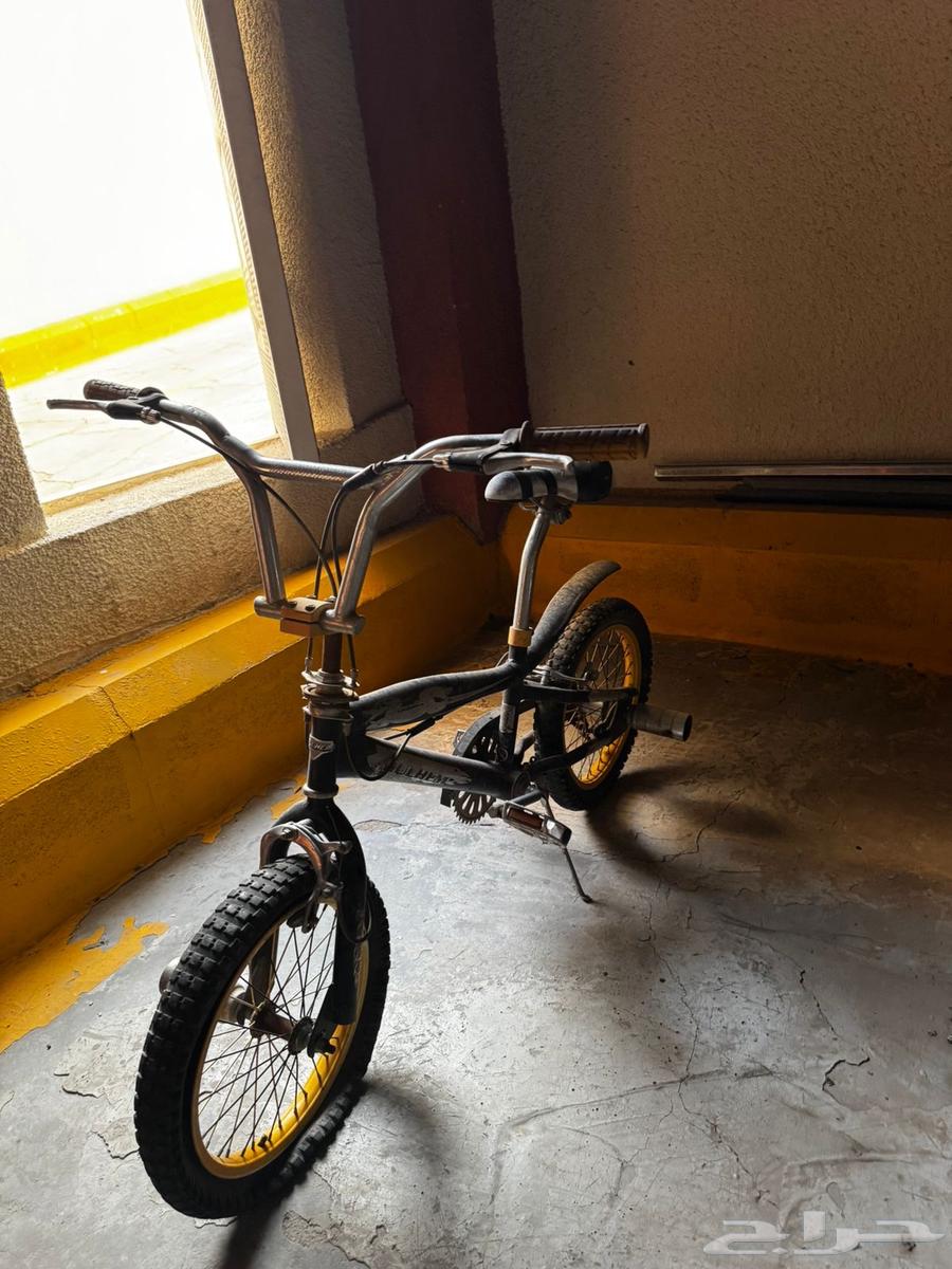 Bicycles with one small brown mark64577401993090112