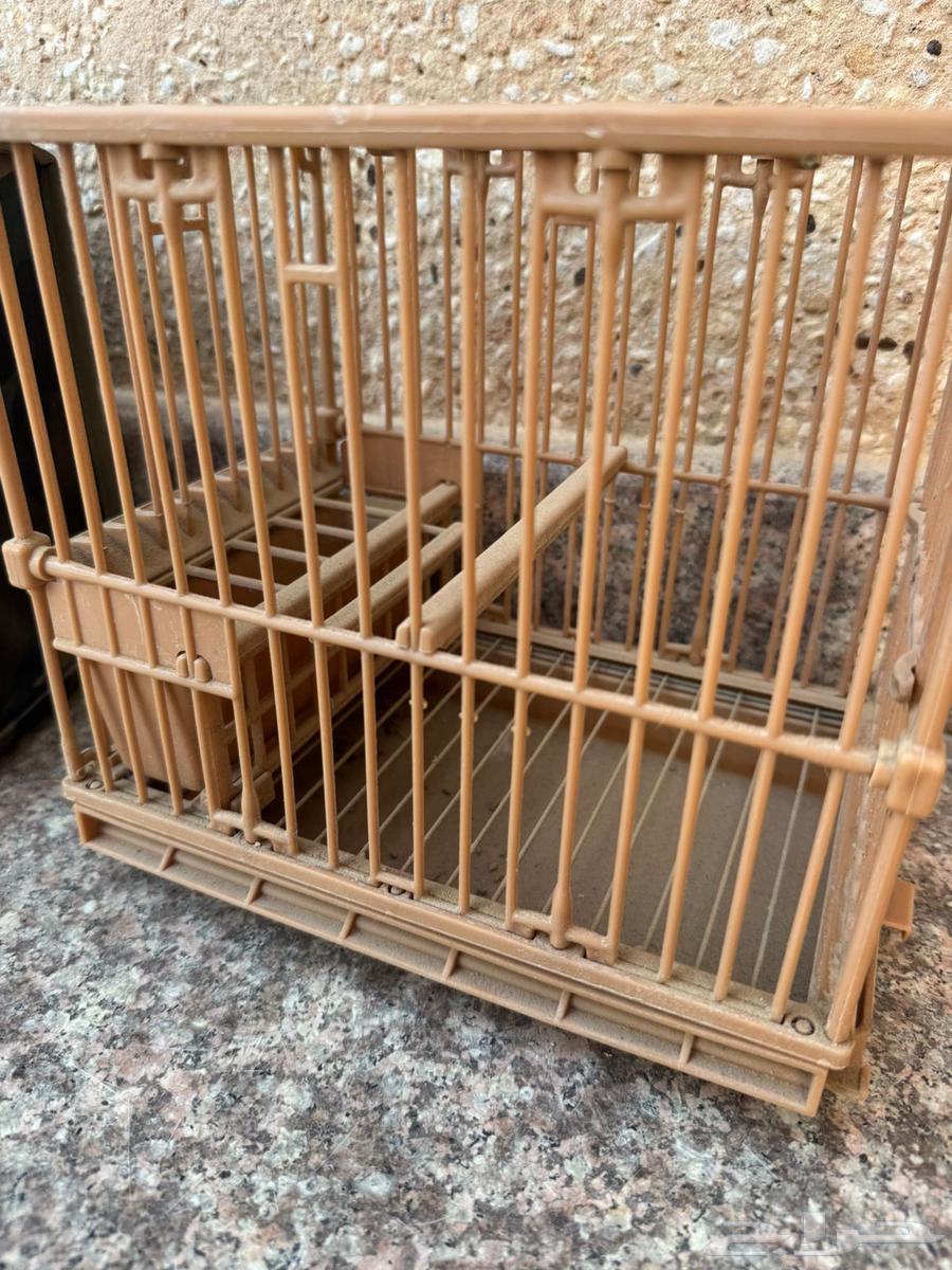 اقفاص تهدئة الحسون64579005667587112