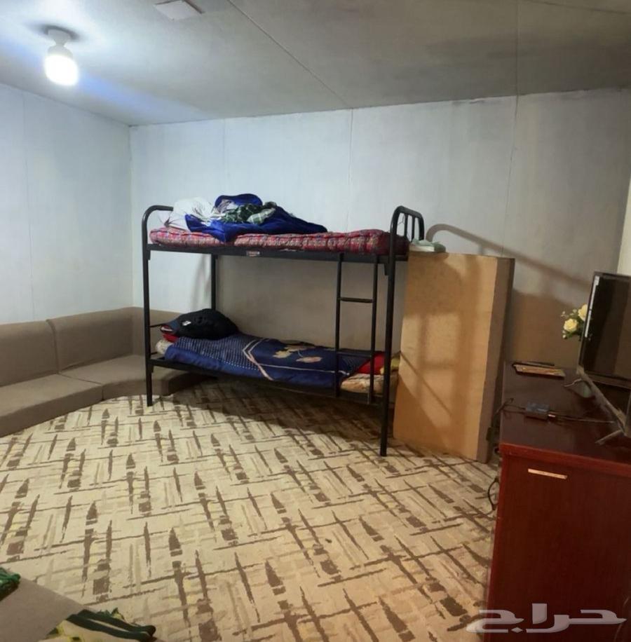 بركس كرفان للبيع64577135215873111