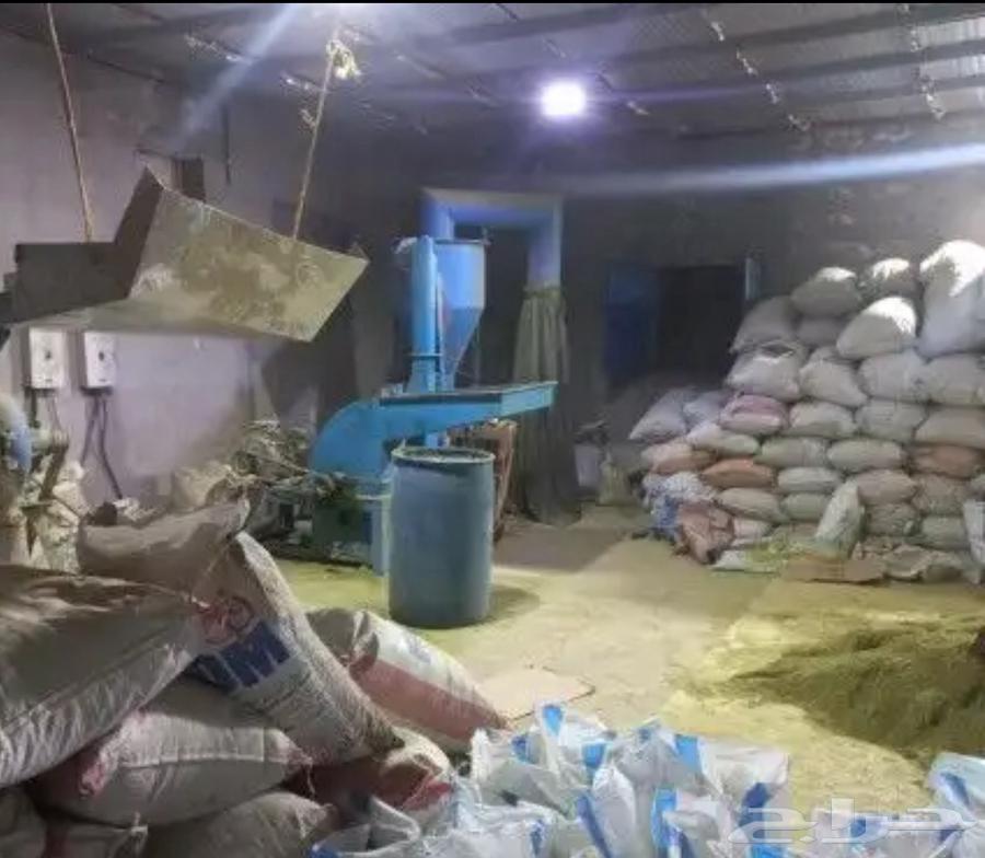 حناء المدينة انتاج مزرعة فرشش64572901980801110