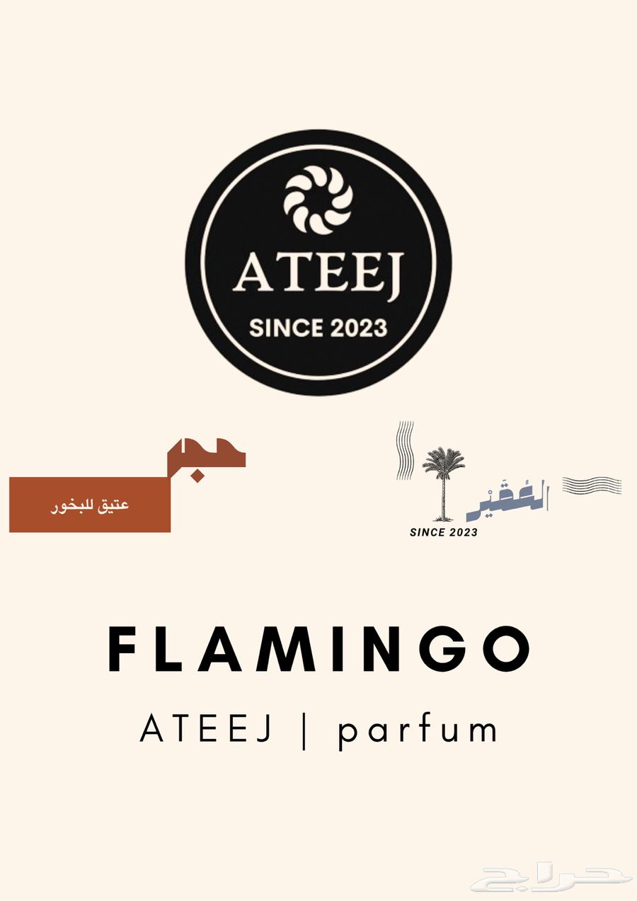 عروض اليوم الوطني64576087168898111