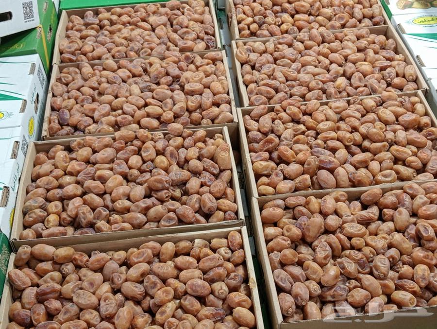 للبيع تمر خلاص القصيم الفاخر64579239164673111