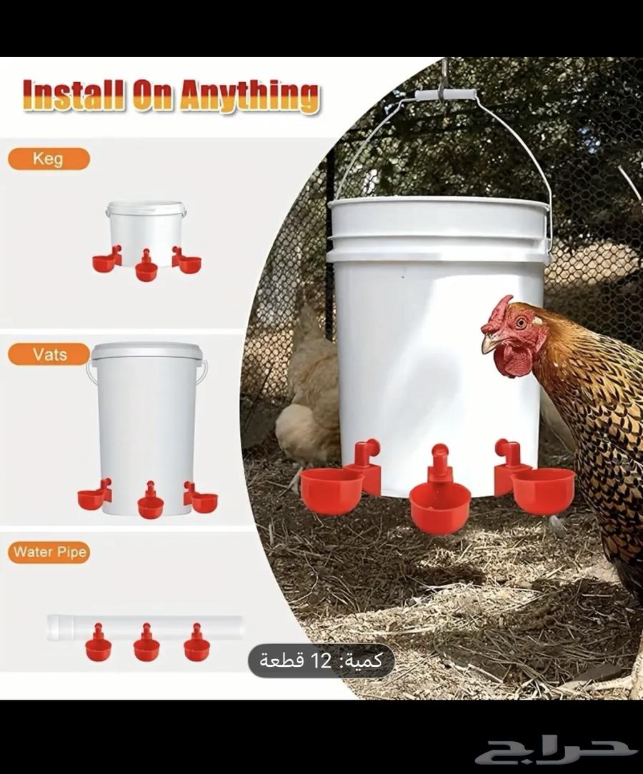 Birds Watering and Drinking Troughs64574256842242110