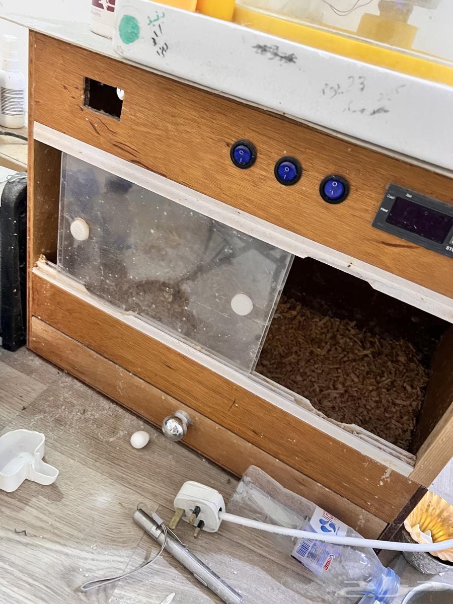 حضانه طيور مستعمله ونظيفه64573615527171110