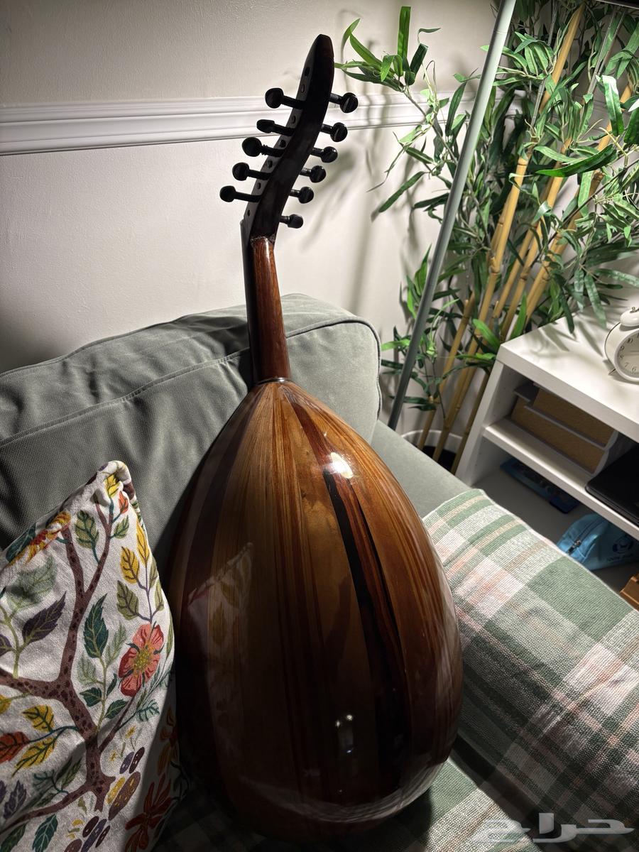 عود مصري (تعليمي)64575335840898111