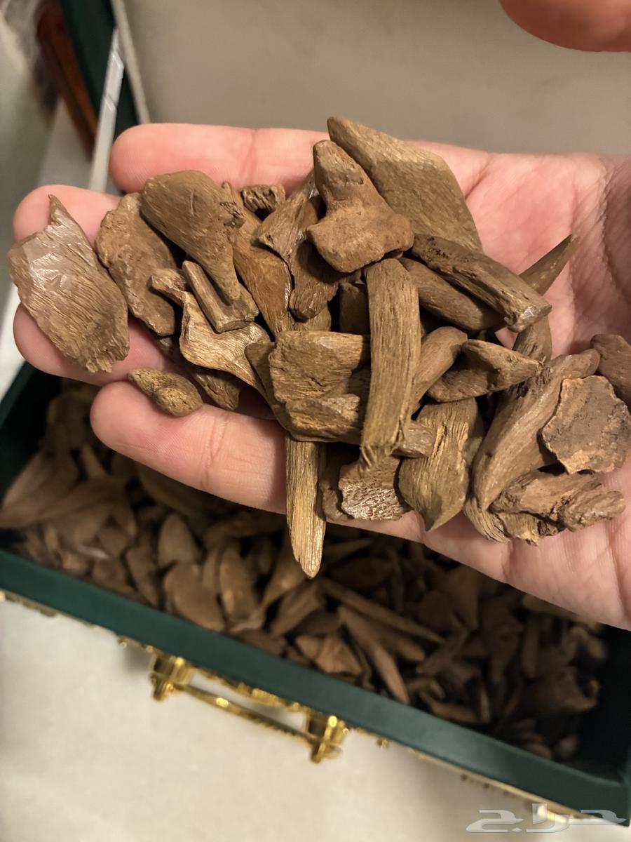 عود موروكي آصقون فاخر ( طبيعي ) سعر منافس64578703548035110