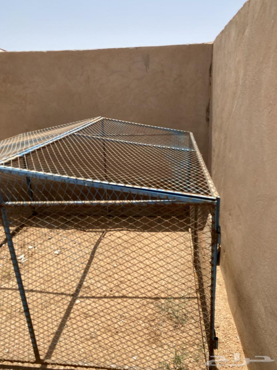 شبك للبيع64576924513538110