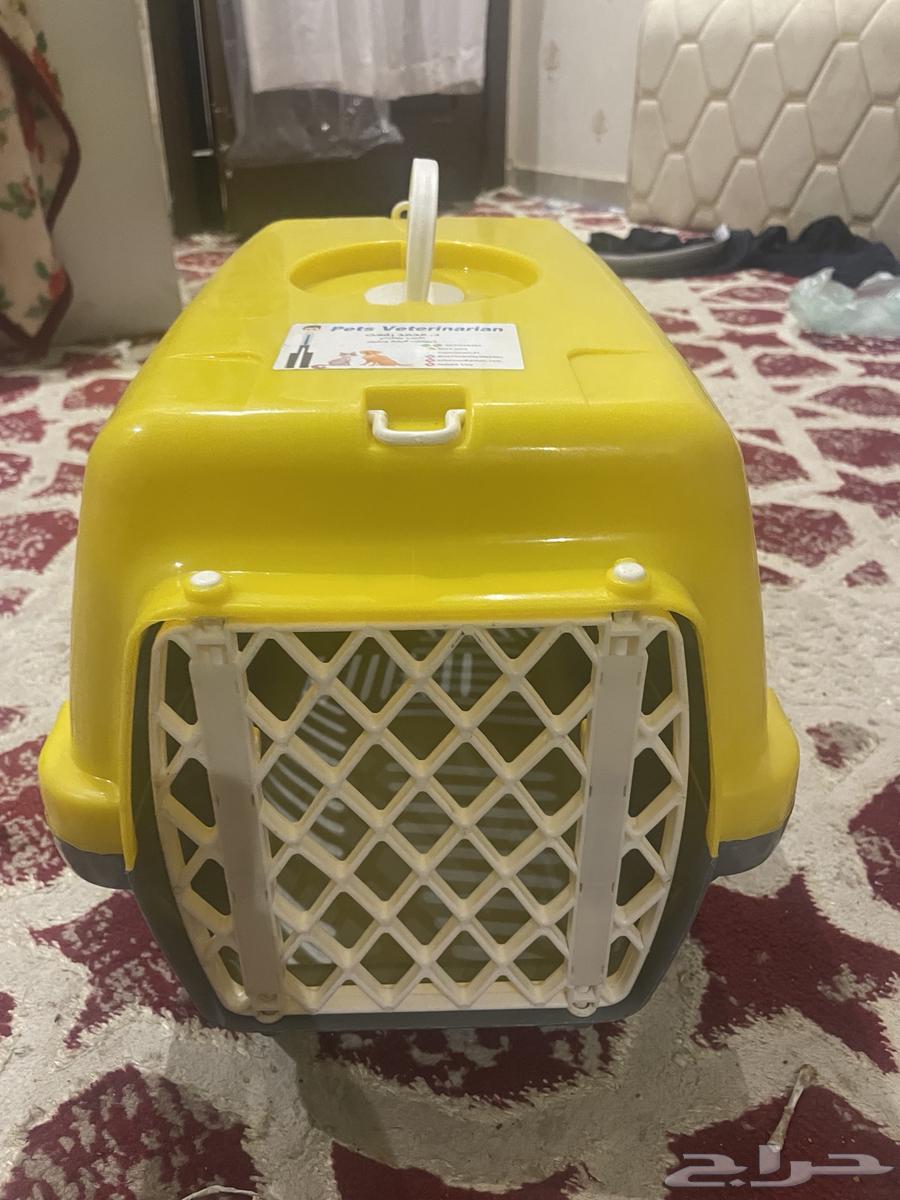 شبك للقطط او للارانب64597187769858110