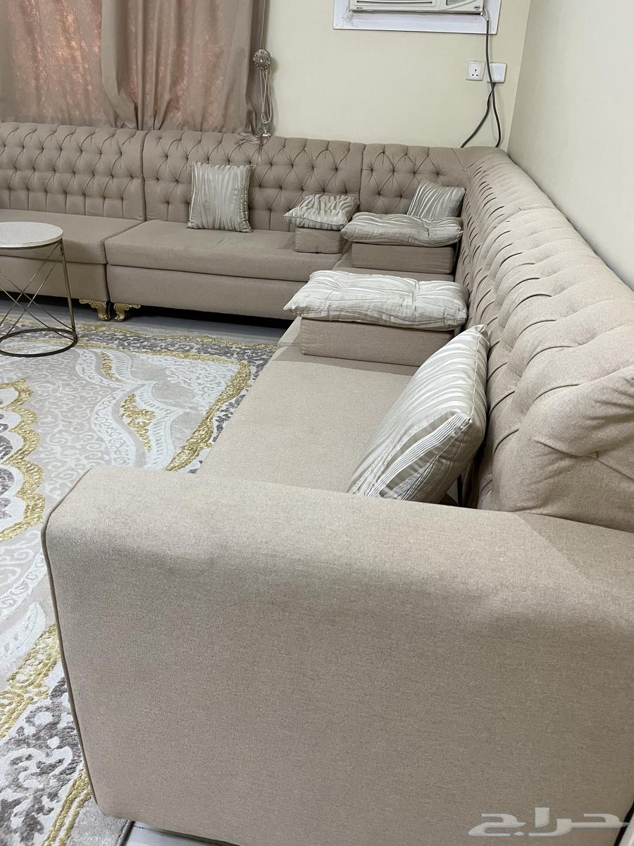 أرائك نظيفة وستائر وبسط وطاولات 100064574383294849110