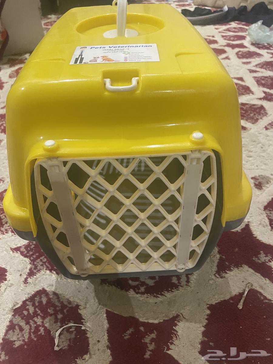 شبك للقطط او للارانب64597187769858111