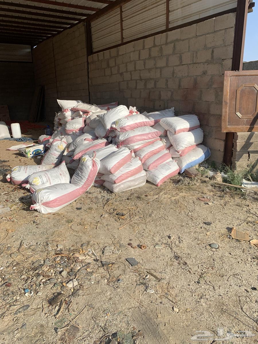 500 Halal Date Bags, Packaging in Sacks, Tins, and Cartons64462800828546114