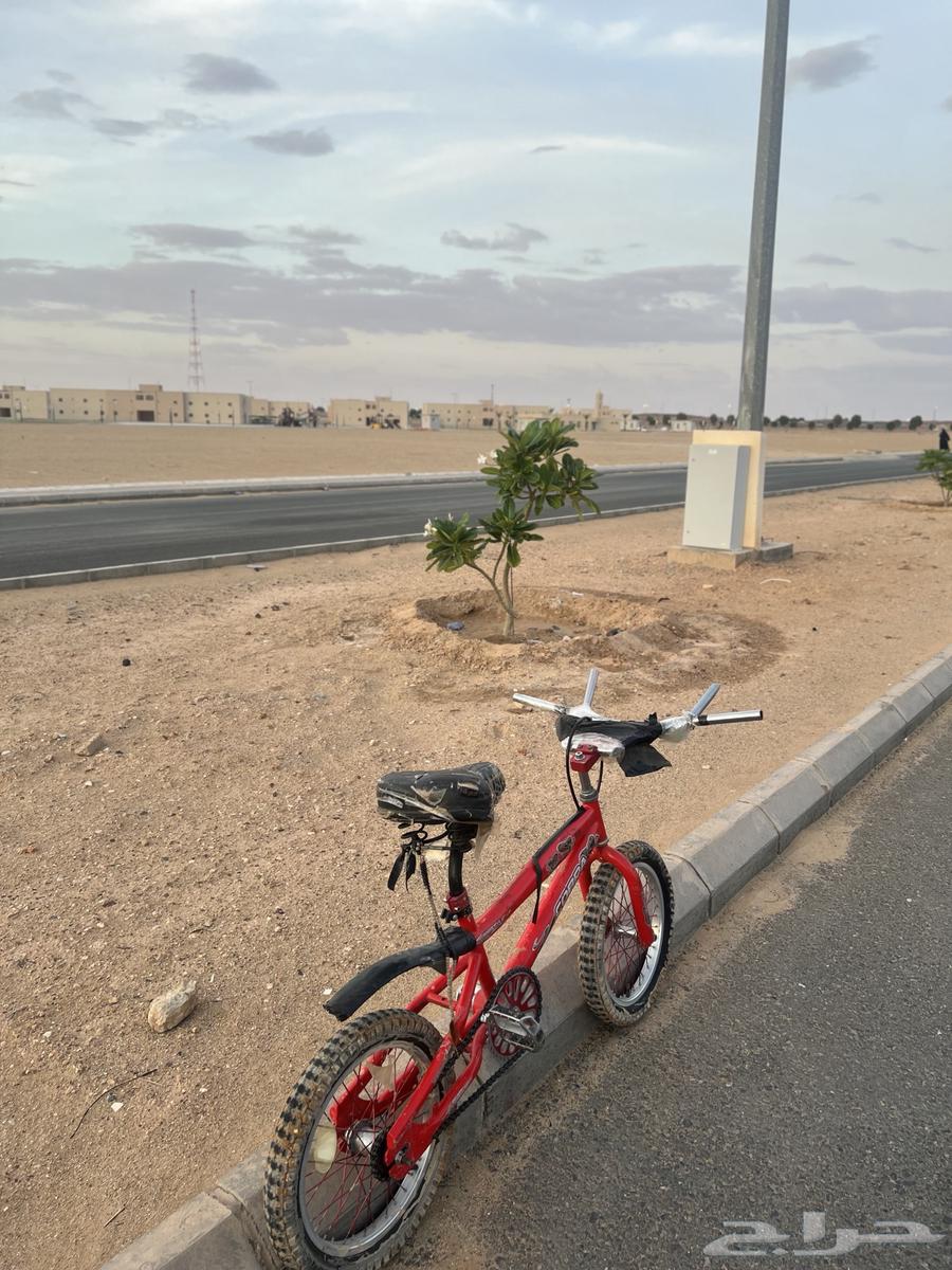 سيكل للبيع64575335831043110