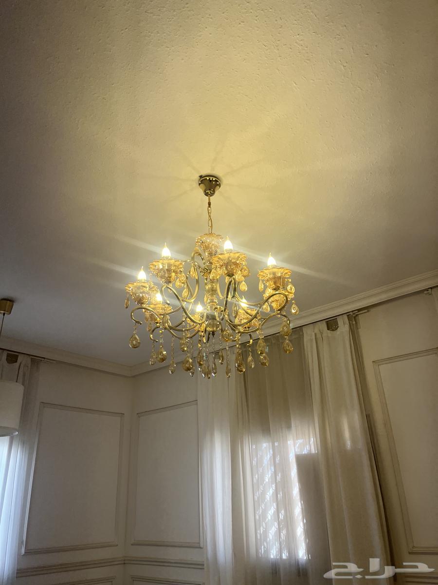 مجلس كامل كنب جديد مع طاولات زجاج و خدمة و ثريات64579197817601111