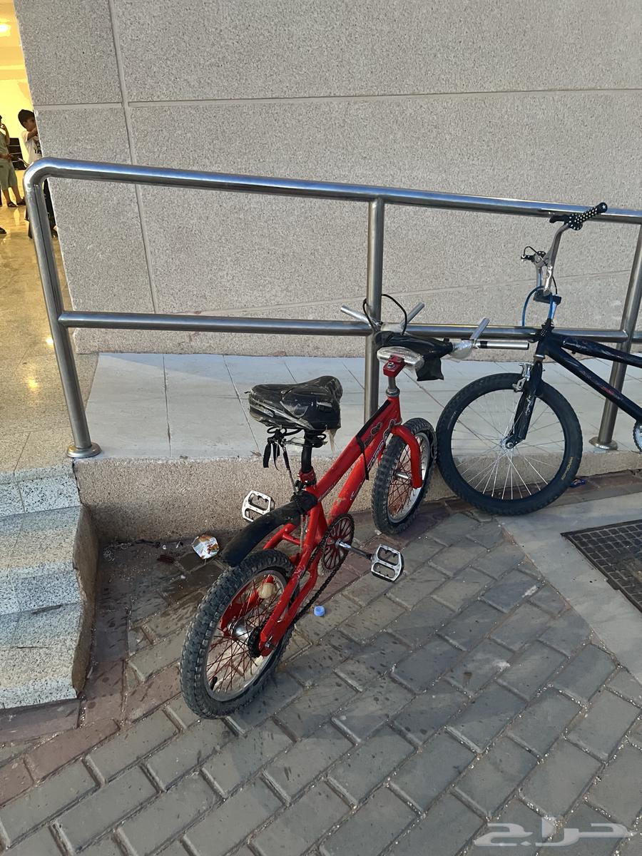 سيكل للبيع64575335831043111