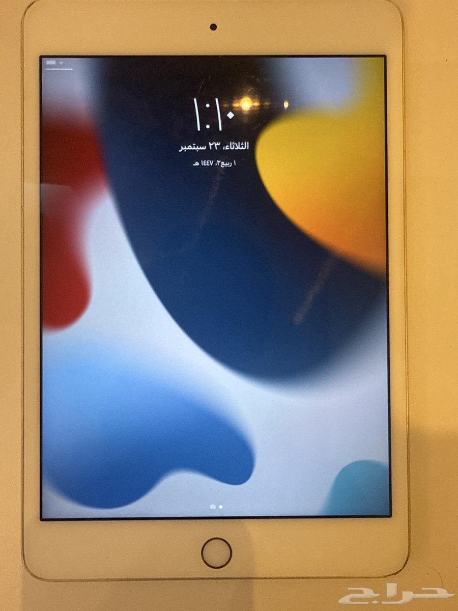iPad Mini 4 128GB, I haven't changed anything on the iPad64574776368385110