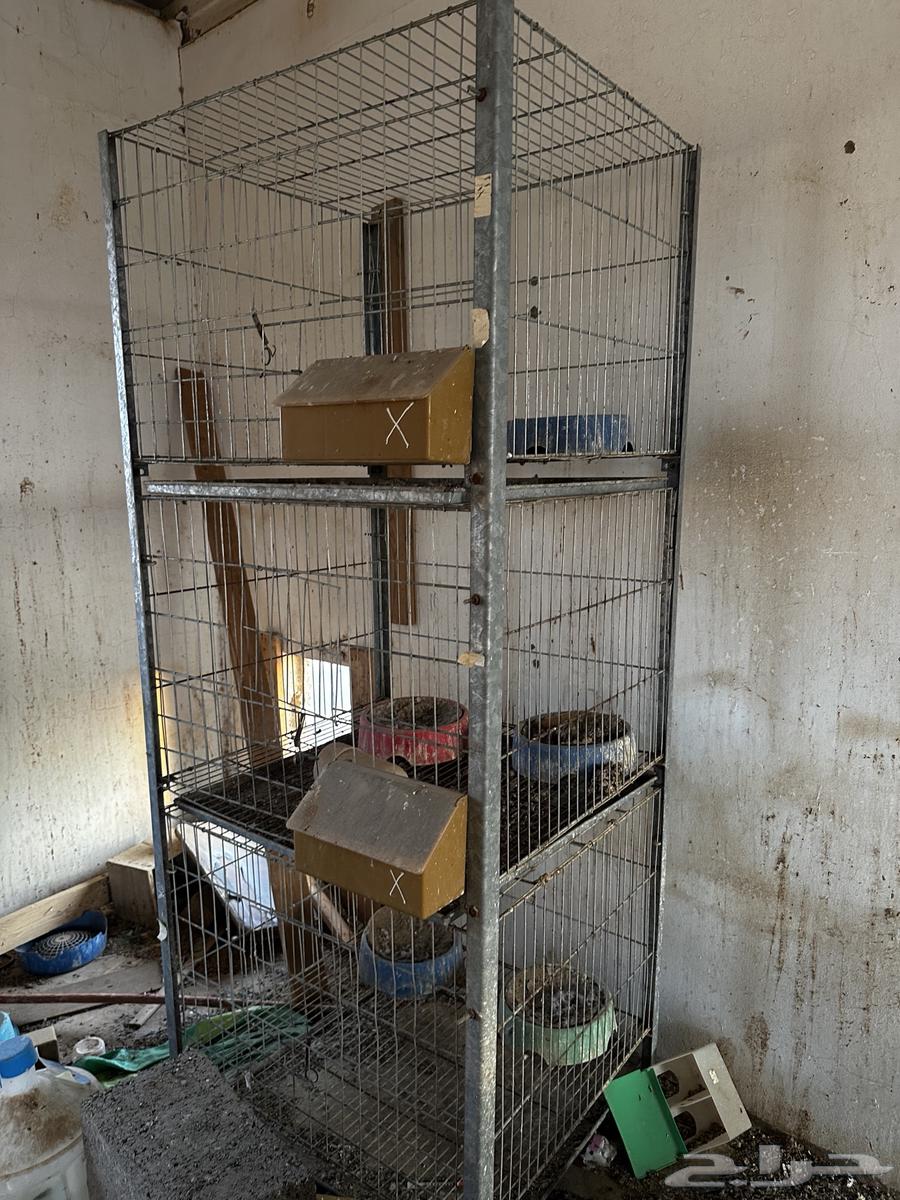 Clean and sound 3-layer bathroom partition64577530688769110