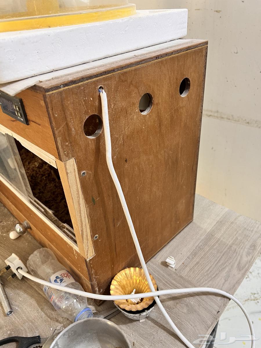 حضانه طيور مستعمله ونظيفه64573615527171111