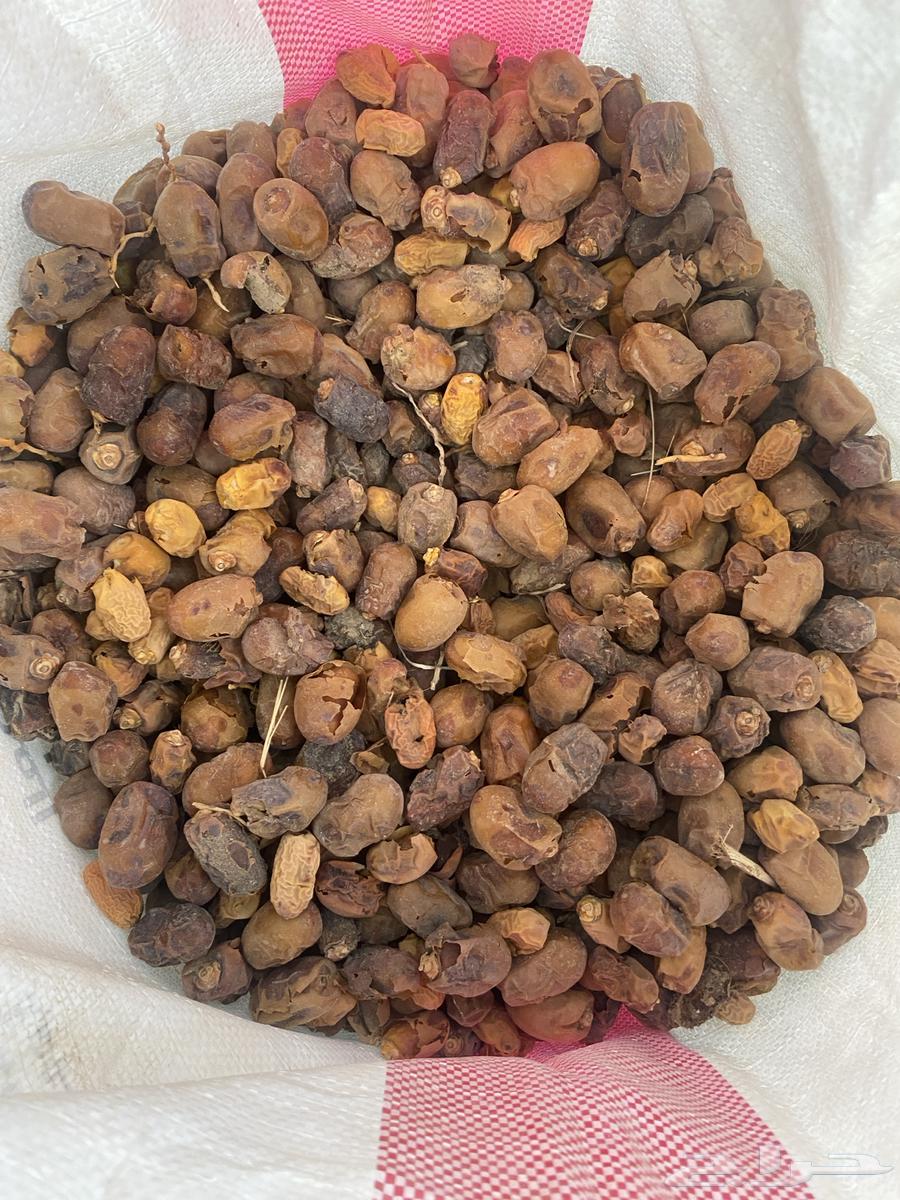 Halal Dates64577950605699110