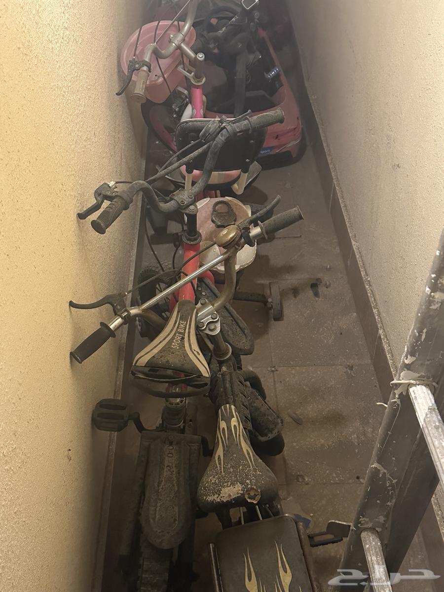 درفت ودراجات للبيع64571922682242110